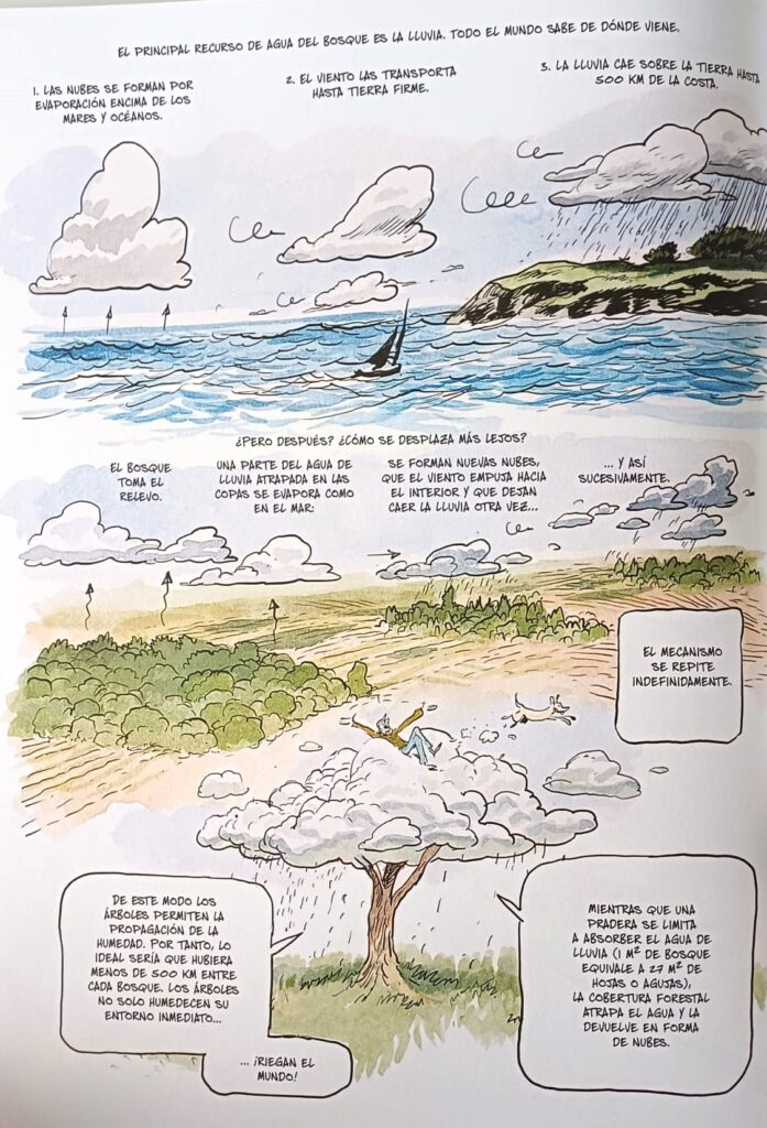 Viñeta de La vida secreta de los árboles: río volador