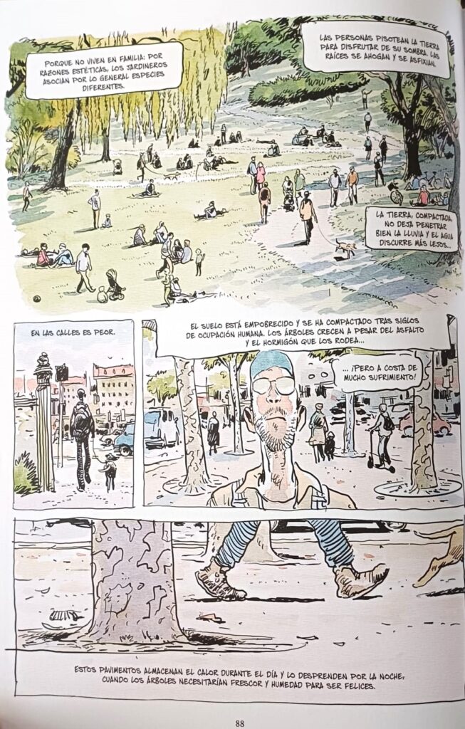 Caminando por el parque