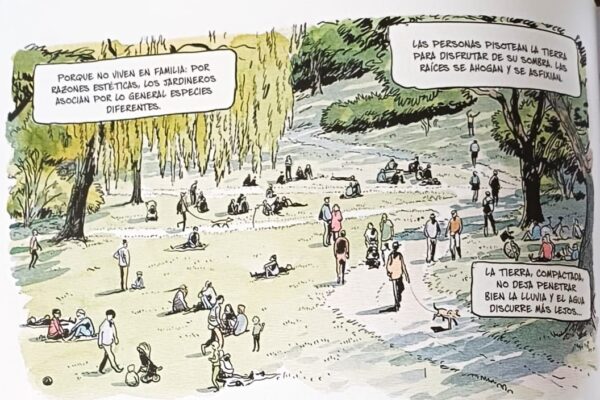 La vida secreta de los árboles