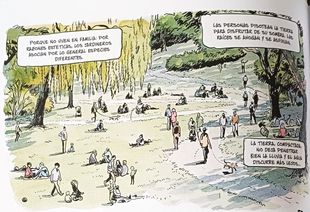 La vida secreta de los árboles